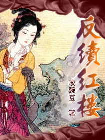 反续红楼