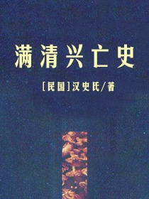 满清兴亡史