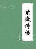 紫微诗话