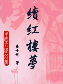续红楼梦