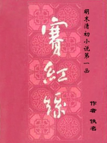 赛红丝
