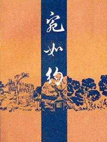 宛如约