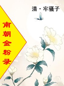 南朝金粉录