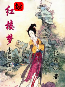续红楼梦未竟稿二十