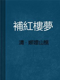 补红楼梦