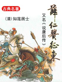 薛仁贵征东