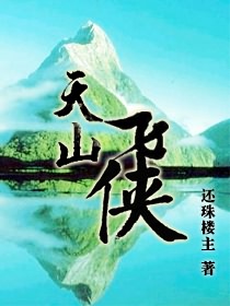 天山飞侠