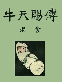 牛天赐传